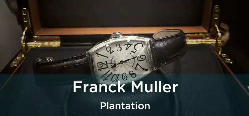 Franck Muller Plantation