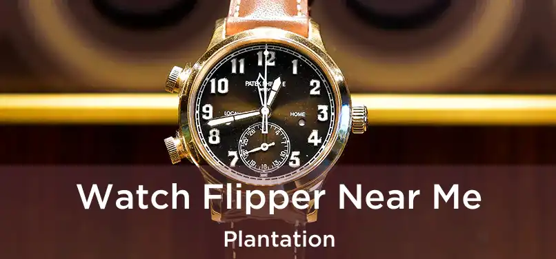 Watch Flipper Near Me Plantation